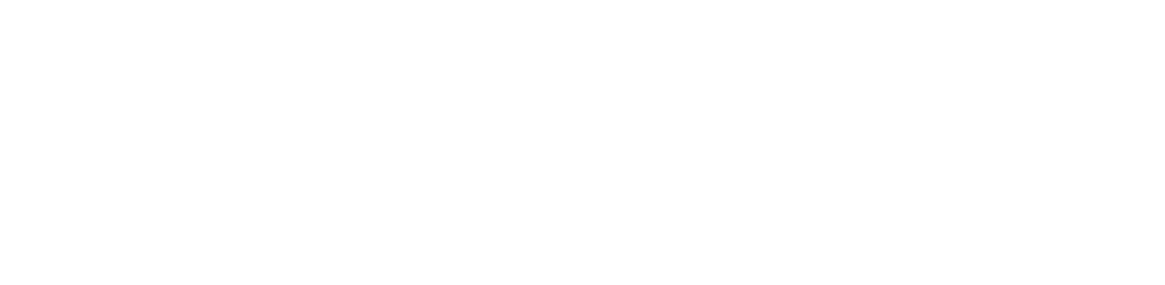 STAN MODE